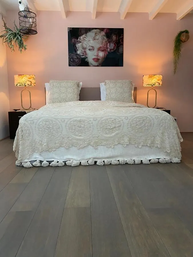 Vakantiehuis De Zeeparel Зандфорт