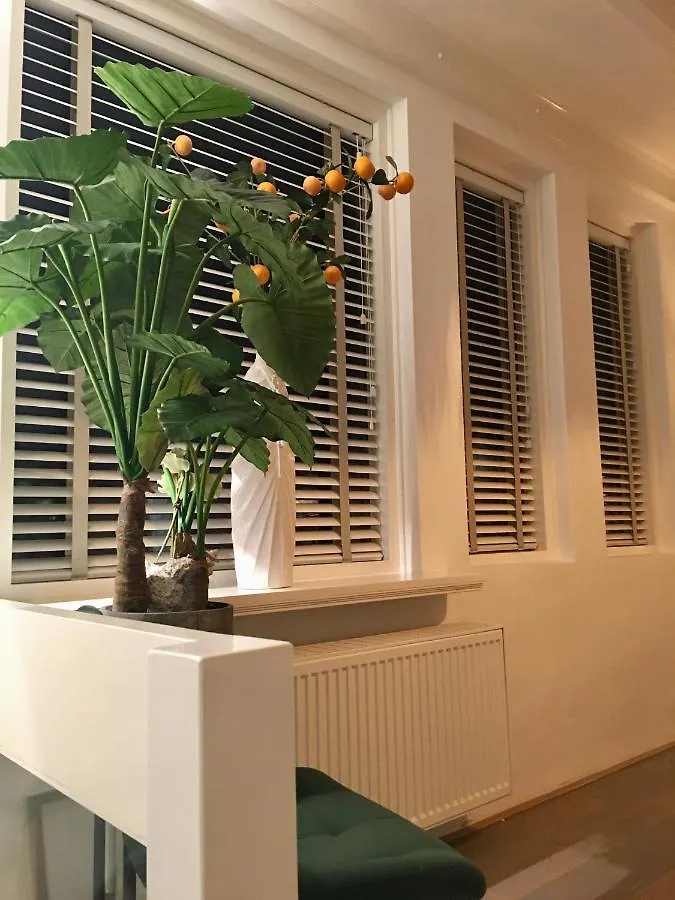 Vakantiehuis De Zeeparel Zandvoort 0*,